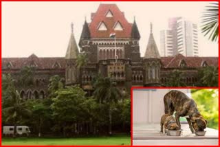 Mumbai HC On Feeding Spot For Dogs