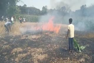 गेहूं के खेत में लगी आग