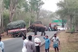 Video of eating corn from truck goes viral