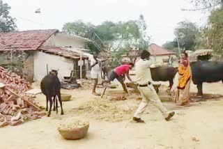 Rewa Villager stone pelting electricity employees