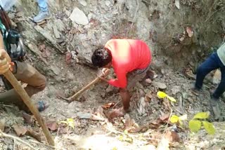 Balaghat forest Area found in Skeleton