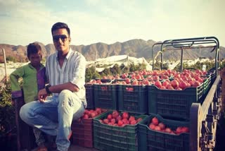 Navdeep Golechha fruit farming in sirohi, Navdeep doing farming after leaving bank job in england, इंग्लैंड के नवदीप सिरोही में कर रहे खेती