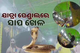 ଦଣ୍ଡନାଚ ଯାତ୍ରା ପେଣ୍ଡାଲରେ ସାପ ଖେଳ