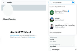 The verified official Twitter accounts of Government of Pakistan and Radio Pakistan were blocked for Twitter users in India.