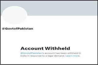 Pak govt Twitter Ban in India