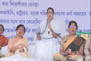 Etv Bharat West Bengal CM Mamata Banerjee