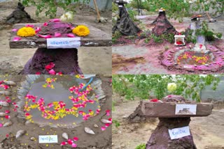 પ્રકૃતિને બચાવવાના સંદેશ સાથે જૂનાગઢમાં કરાઈ રામ જન્મોત્સવની અનોખી ઉજવણી