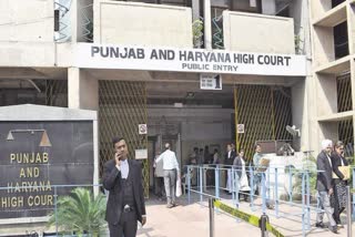 Punjab and Haryana High Court directs Husband has to pay maintenance to wife even he is a beggar