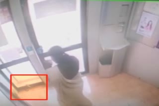 snake in idukki atm women escaped viral video