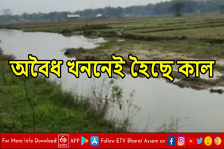 Land Mafia terror in Tinsukia