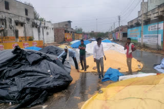 crop production of farmers got wet in Kota Mandi due to heavy rain
