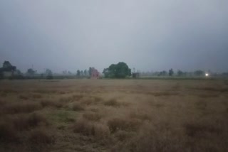 Heavy rains in Haryana