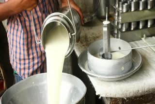 Milk Price Hike ETV Bharat