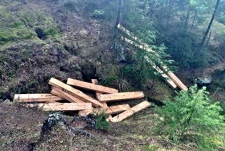 illegal cutting of tress in Kullu