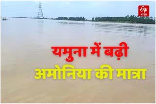 ammonia level increase in Yamuna river in Haryana