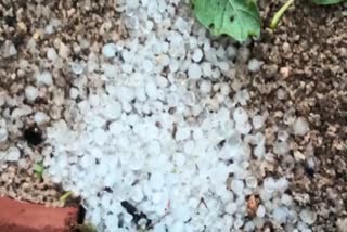 rain and hailstorm in balrampur