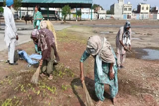 Purchase of wheat from today, Arrangements incomplete in Barnala Mandi