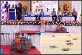 Turtle Festival in karwar