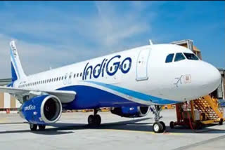 Swedish passenger who molested IndiGo flight crew released on bail