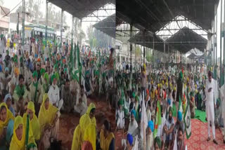 Dharna At Firozpur: A warning rally was held in Dana Mandi by the Joint Front at Halka Zira of Firozpur.