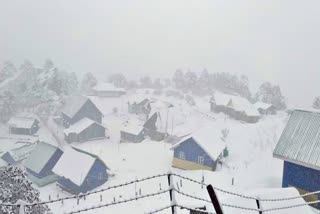 Snowfall in Darjeeling