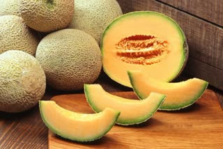 Muskmelon Benefits News