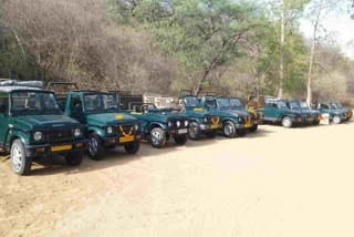 Jhalana and Amagarh Leopard Safari,  Increase in rates for Indian tourists
