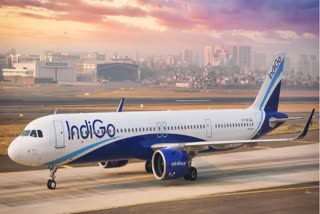 Indigo flight