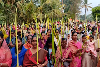 ഓശാന പെരുനാള്‍  ഓശാന  പെസഹ വ്യാഴം  ഓശാന ഞായർ  ജറുസലേം  ദുഃഖവെള്ളി  ഈസ്റ്റർ  christians celebrates palm sunday  christians palm sunday  palm sunday  easter  oshana sunday