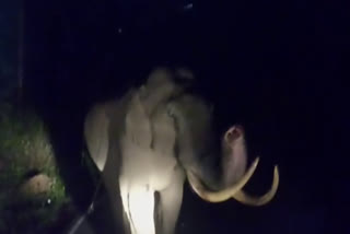 Padayappa  Wild elephant Padayappa  Padayappa stopping KSRTC bus  KSRTC bus  കെഎസ്‌ആര്‍ടിസി ബസ് തടഞ്ഞ് പടയപ്പ  കെഎസ്‌ആര്‍ടിസി ബസ്  പടയപ്പ