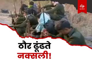 Operation against Naxalites continues in Latehar