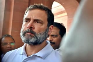 Rahul Gandhi to file appeal in Gujarat court on April 3 against conviction in defamation case