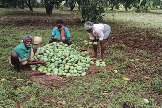 Suryapet District