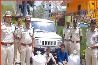 huge quantity of cannabis seized