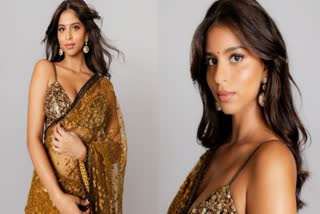 SUHANA KHAN SHARED BEAUTIFUL PICS IN TRANSPARENT SAREE ANANYA NAVYA MADE THIS COMMENT