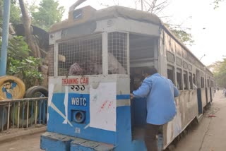 Tram Driver Training