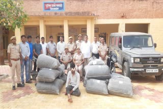 Illegal doda worth Rs 10 lakh seized in barmer