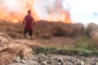 Fierce fire in standing wheat crop