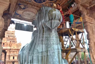 Special Abhishekam to Lord Nandi in Thanjavur  Temple