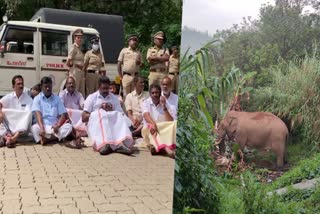 peoples representatives protest  expert committe in munnar  idukki protest  arikomban  singukukandam  wild elephant attack  padayappa  latest news in idukki  ജനപ്രതിനിധികളുടെ പ്രതിഷേധം  പടയപ്പ  അരികൊമ്പൻ  രാപ്പകല്‍ സമരം  കാട്ടാന ആക്രമണം  സിങ്കുകണ്ടം  ഇടുക്കി ഏറ്റവും പുതിയ വാര്‍ത്ത  ഇന്നത്തെ പ്രധാന വാര്‍ത്ത