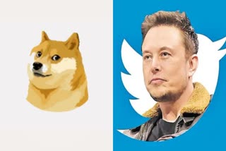 Twitter's Logo Changed: ટ્વિટરના લોગોથી ચકલી ઉડી અને આવ્યો ડોગ