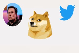 Musk replaces Twitters blue bird logo with Doge meme