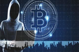 woman lost Rs 14 lakh 30 thousand on Cryptocurrency Dealing and became a victim of Cyber Crime in Maharashtra