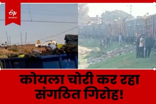 Organized gang stealing coal from goods train in Giridih