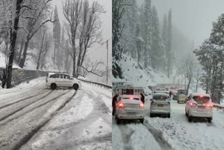 snowfall in manali