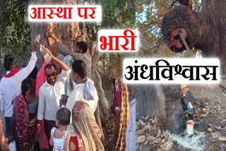 jabalpur superstition busted