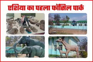 shivalik fossil park sirmaur