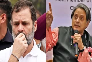 Rahul Gandhi and Shashi Tharoor