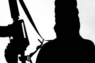 Lashkar offshoot TRF issues 'hit list' of 30 RSS leaders in Jammu and Kashmir