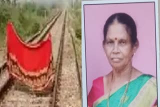 Tree fell on the train track: Old lady stopped the train by waving red cloth